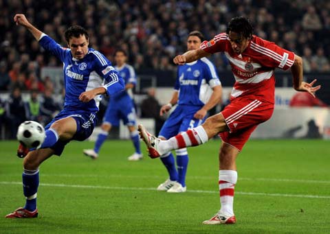 的活动填补 的活动填补