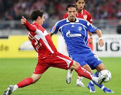 可以看出林 可以看出林